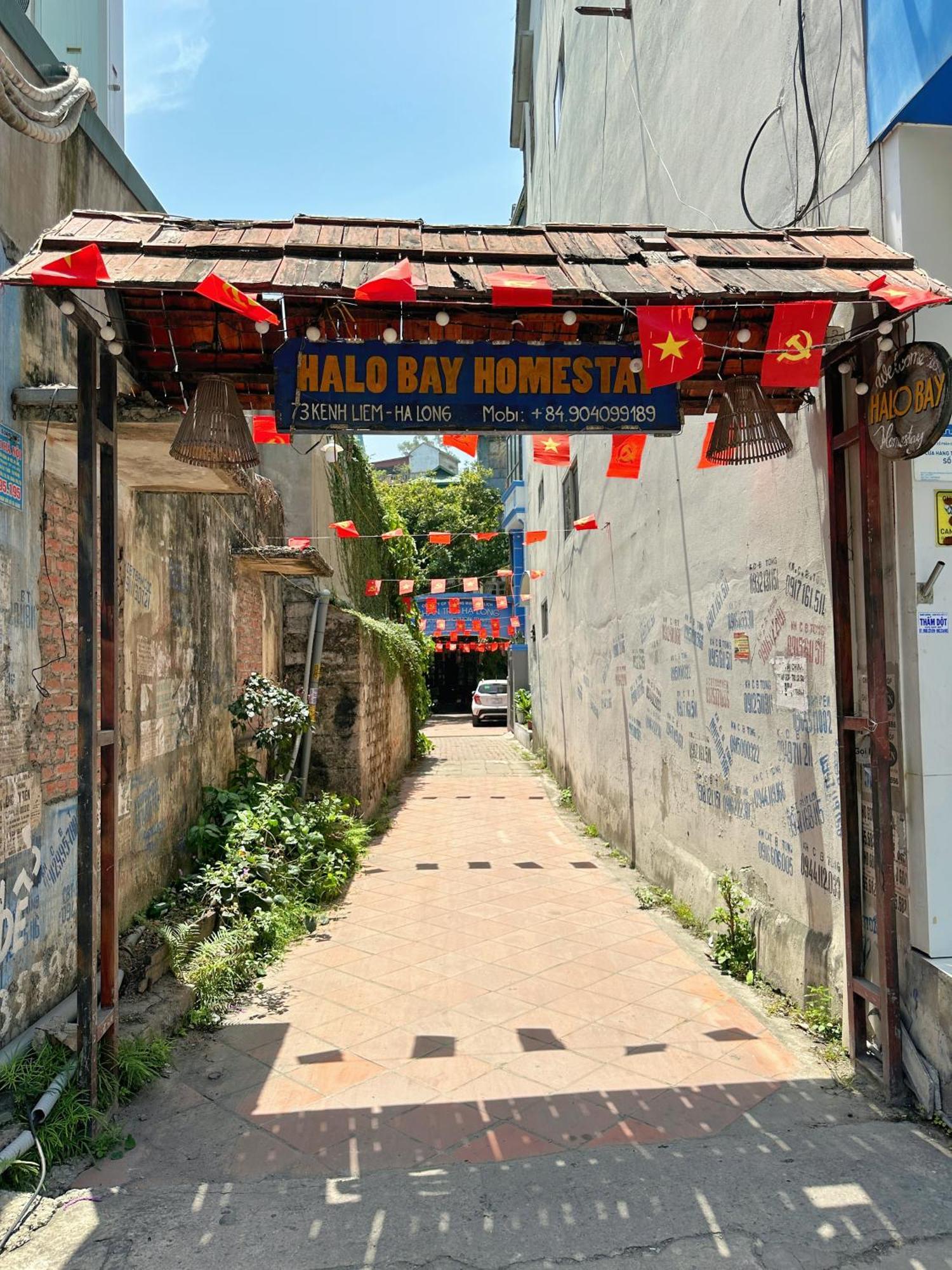 Halo Bay *