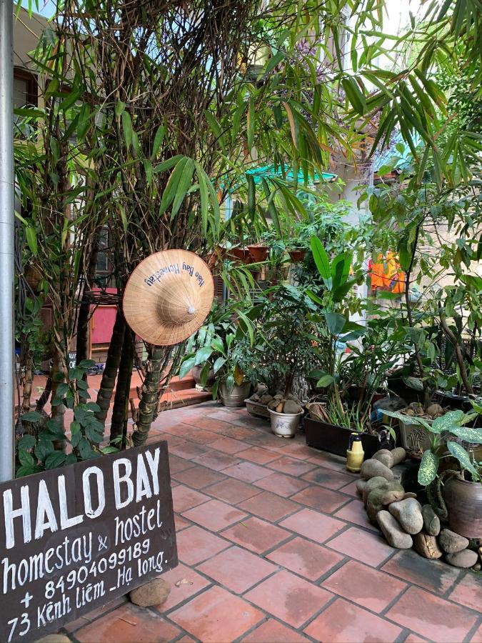 Halo Bay Homestay *
