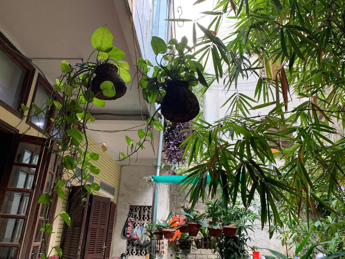 Halo Bay Homestay Ha Long